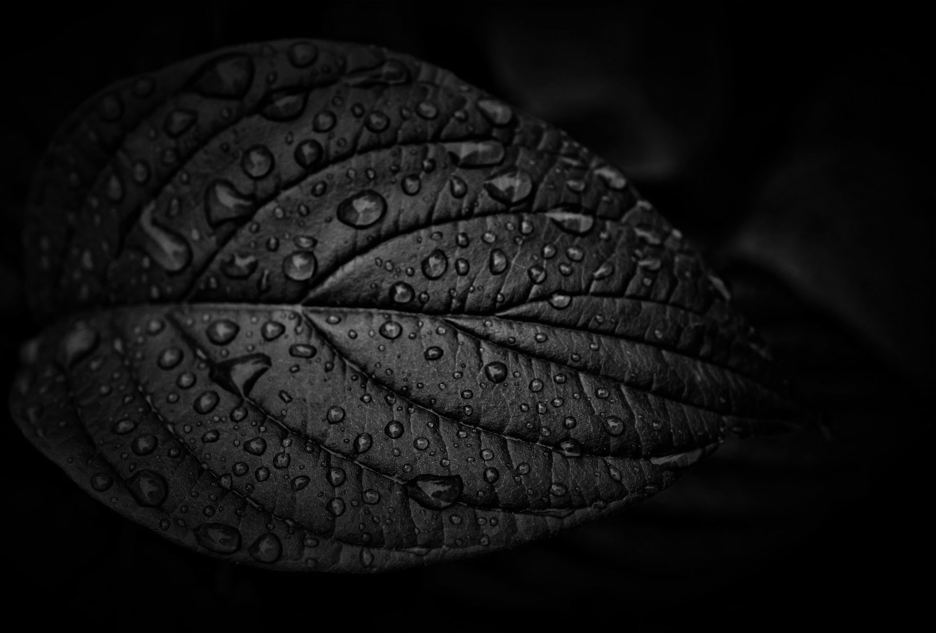 WE’RE BURYING ESG – BUT EMBEDDING SUSTAINABILITY INTO OPERATIONS