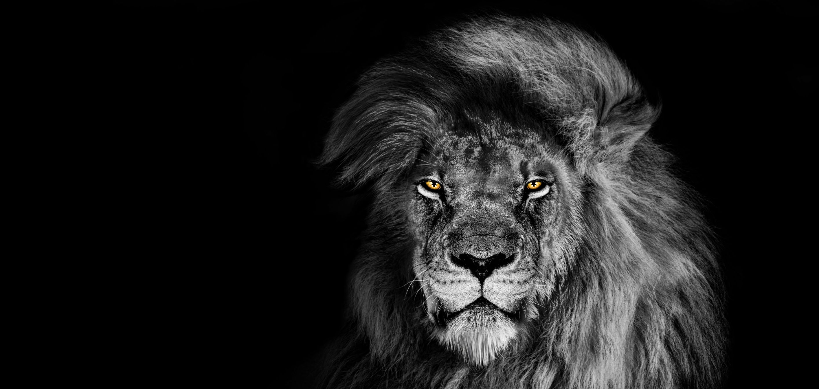 CEO REPUTATION: WHY IT PAYS TO INVEST IN YOUR PERSONAL BRAND