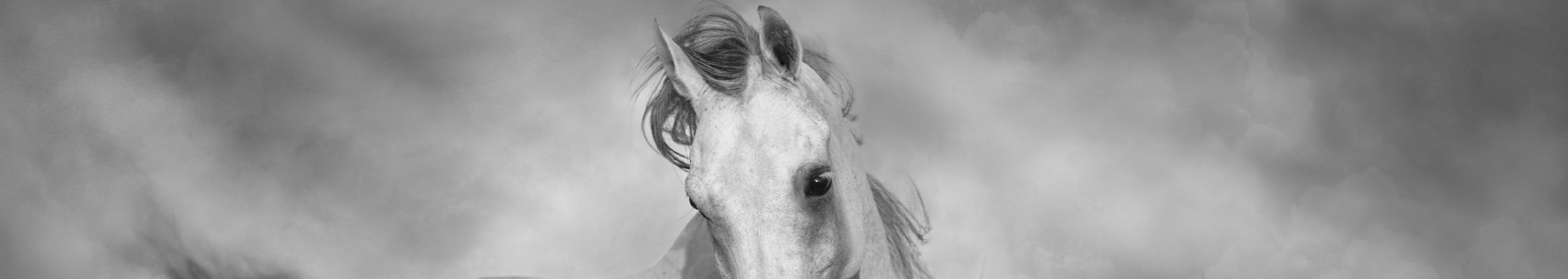 Ki auditálja az információ útját?